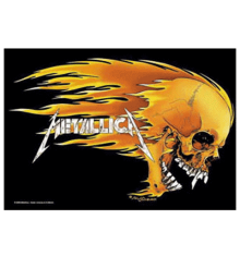 FLAMING SKULL
