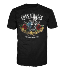 GUNS N ROSES - HERE TODAY GONE