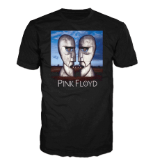 PINK FLOYD - DIVISION BELL